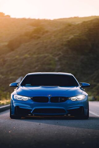 Unleashing Power: The B..