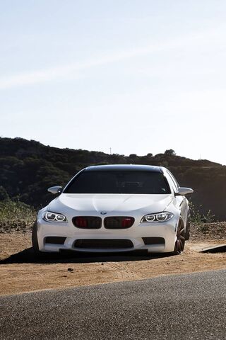The Ultimate Driving Ma..