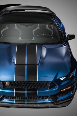 Unleashing the Beast: S..