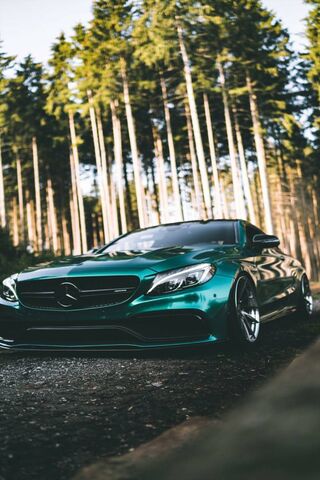 Emerald Elegance: The C..