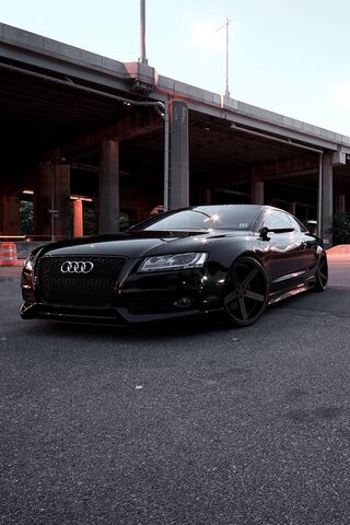 The Elegance of Audi: A..