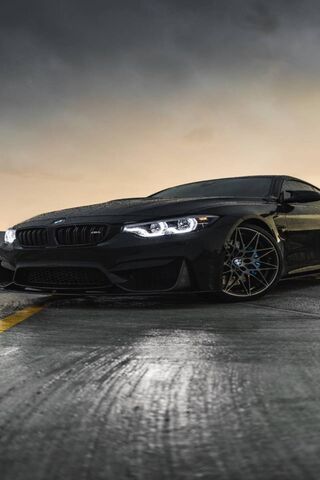 Shadow M4: The Dark Bea..