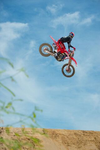 Soaring High: The Whip ..