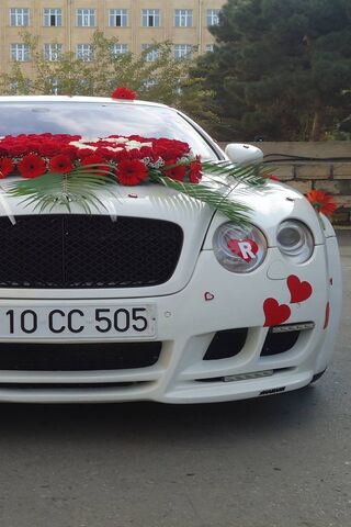 Elegance on Wheels: The..