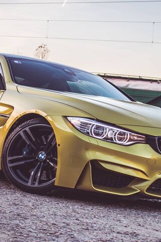 Dynamic Stock M4: The P..