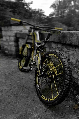Ride the Adventure: A B..