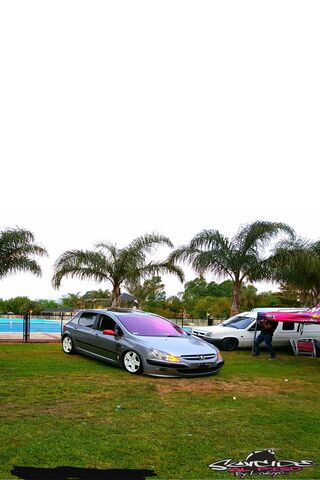 Peugeot 307: A Stylish Ride by the Poolside 🚗🌴