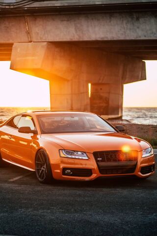 Sunset Drive: The Bold ..