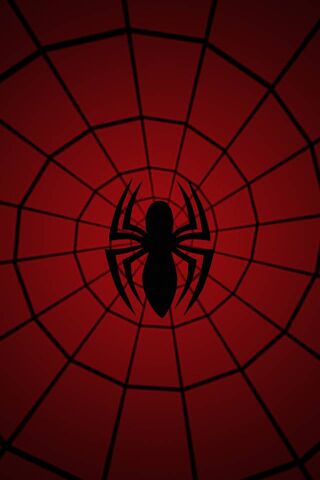 Web-Slinging Adventures Await! 🕷️🕸️