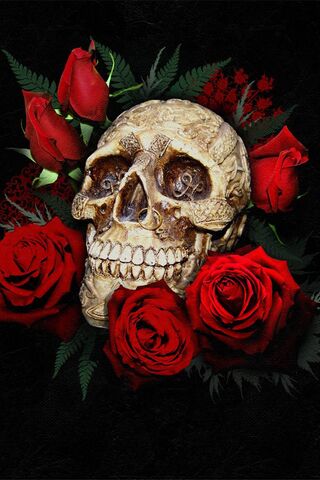 Beauty and Mortality: T..