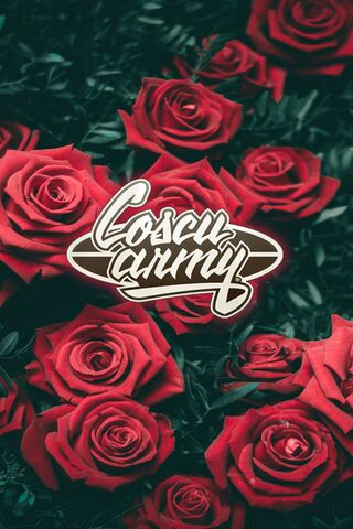 Roses of the Coscu Army 🌹✨