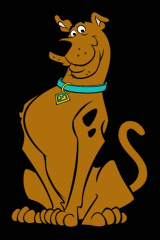 Horror Story Scooby Doo WALLPAPER Y0344 iPhone 11 Pro Case  Flazzy Store