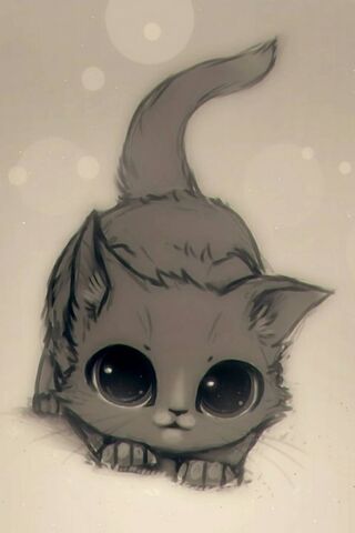 cute kitty drawing wallpaper