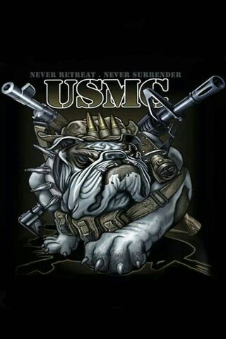 Unyielding Spirit: The USMC Devildogs