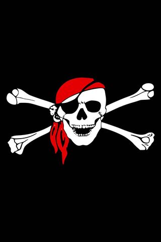 Jolly Roger: The Icon o..