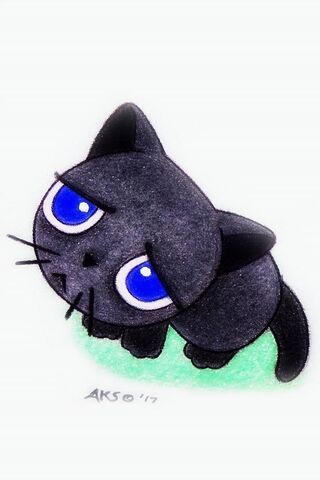 Sad Eyes Cat