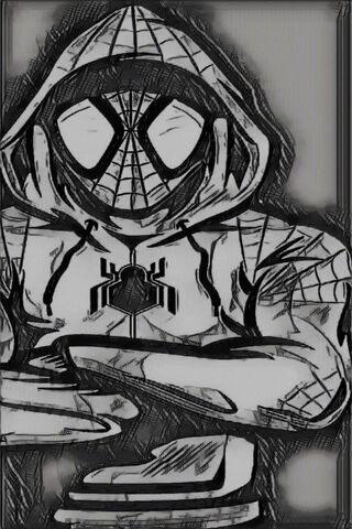 رسم الرجل العنكبوت الخلفية تحميل إلى هاتفك النقال من Phoneky