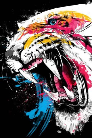 Tiger Colorfull