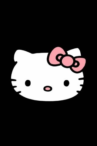 Hello Kitty: The Iconic..
