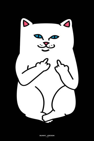 Sassy Cat Vibes: The Ri..