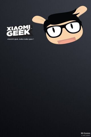 Xiaomi Geek