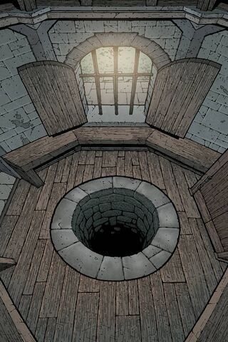 The Depths of Reflection: A Journey into the Well