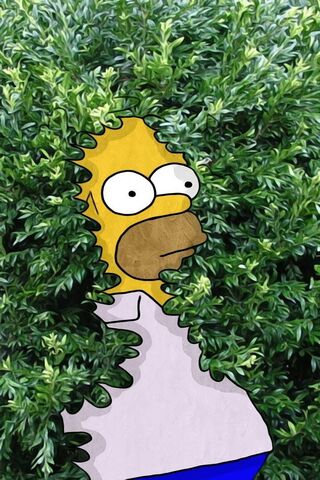Homer Plant