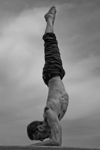 Finding Balance: The Ar..