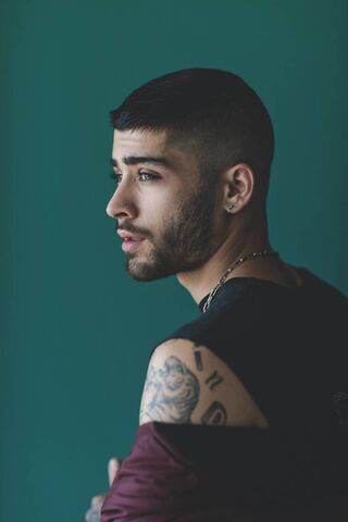 Zayn Malik: A Glimpse o..