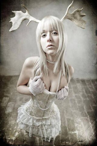 Winderland