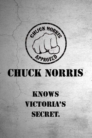 Legendary Martial Arts Icon: Chuck Norris 🥋💥
