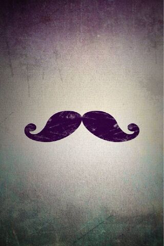 The Iconic Moustache: A..