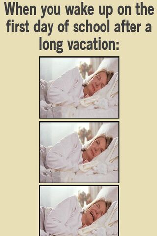 Back to Reality: Embracing the Post-Vacation Vibe 🌍✈️