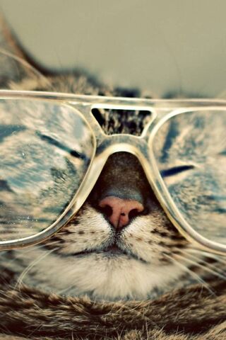 Whiskers of Laughter: T..
