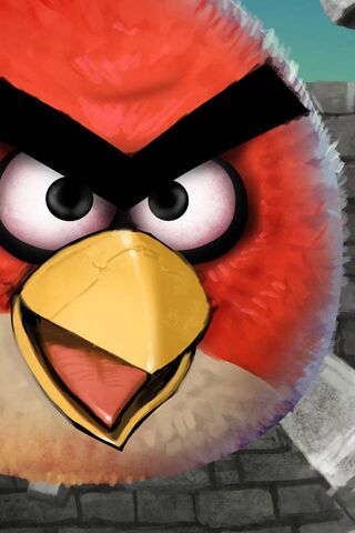 Feathered Fury: The Bat..