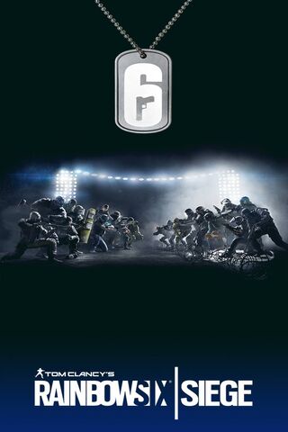 R6s Cat Wallpaper Download To Your Mobile From Phoneky