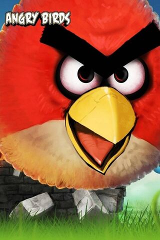 Furious Fowl: The Battle of the Birds! 🐦💥