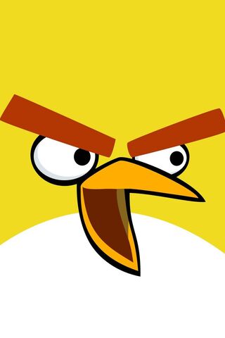 Furious Fowl: The Battle of the Birds! 🐦💥
