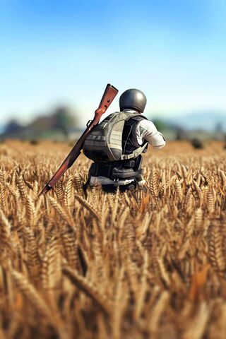 Survival in the Fields:..