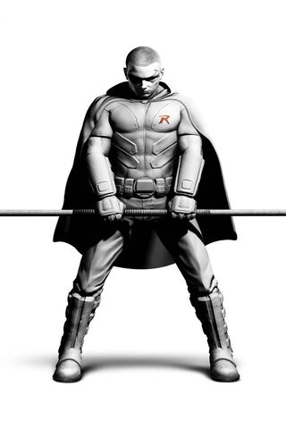 The Enigmatic Robin Bac: A Portrait of Mystery