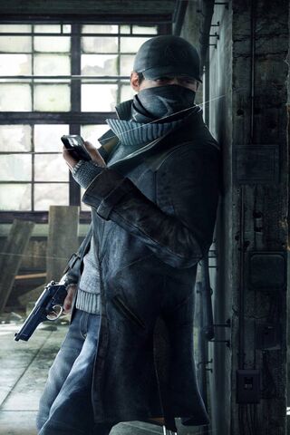 The Vigilante's Shadow:..