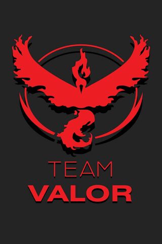 Ignite Your Passion with Team Valor! 🔥