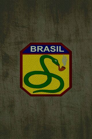 The Smoking Cobra: A Br..