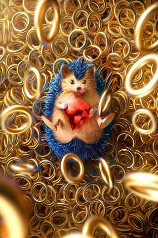 Hedgehog's Treasure Tro..