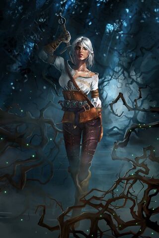 Ciri The Witcher 3 Wallpapers  Top Free Ciri The Witcher 3 Backgrounds   WallpaperAccess