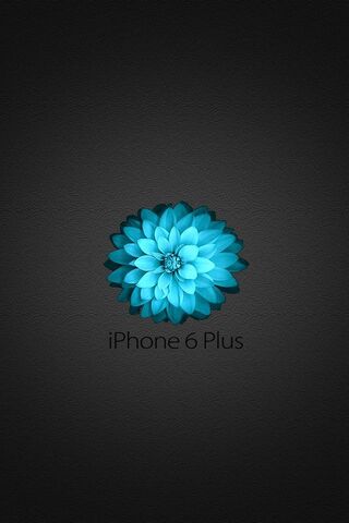 Iphone6 Plus