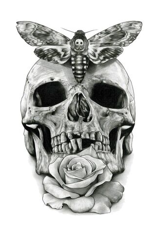 Mysteries of the Skull: Unveiling the Secrets of the Human Anatomy 🦴🔍