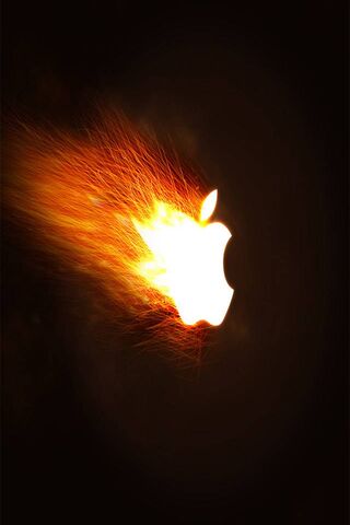 Api epal