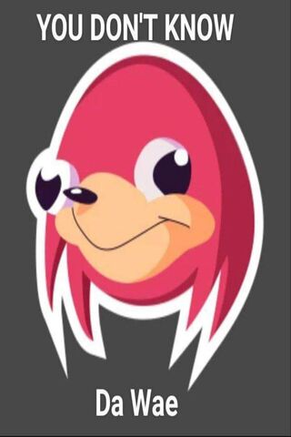 The Quest for Da Wae 🐾