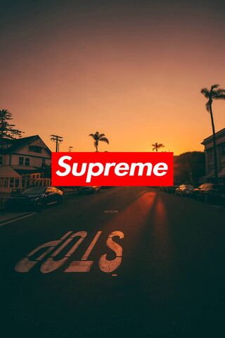 Golden Hour Vibes 🌅✨